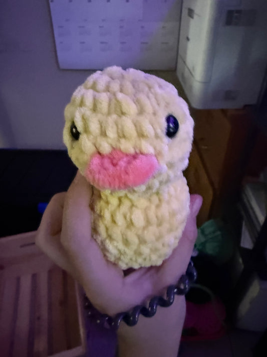 ducky